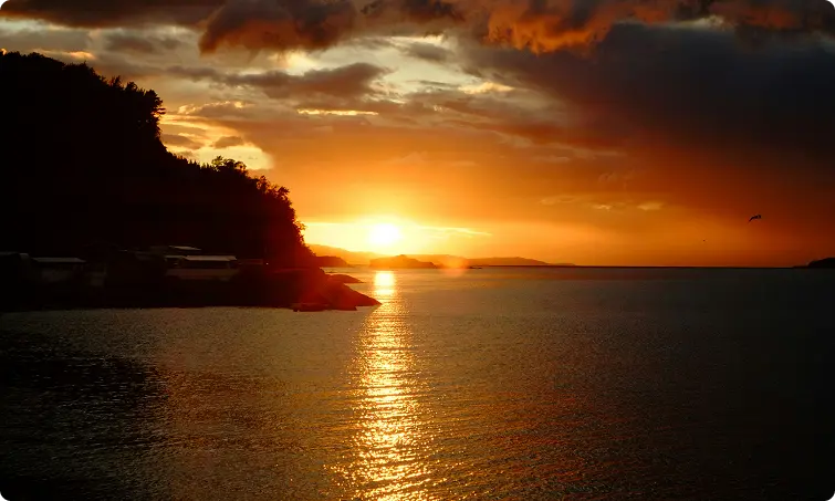 Environmental sustainability in Bali